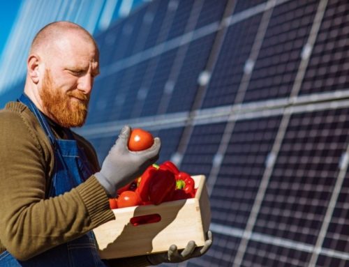 Agriculteurs et panneaux photovoltaïques : les avantages de l’énergie verte pour votre exploitation