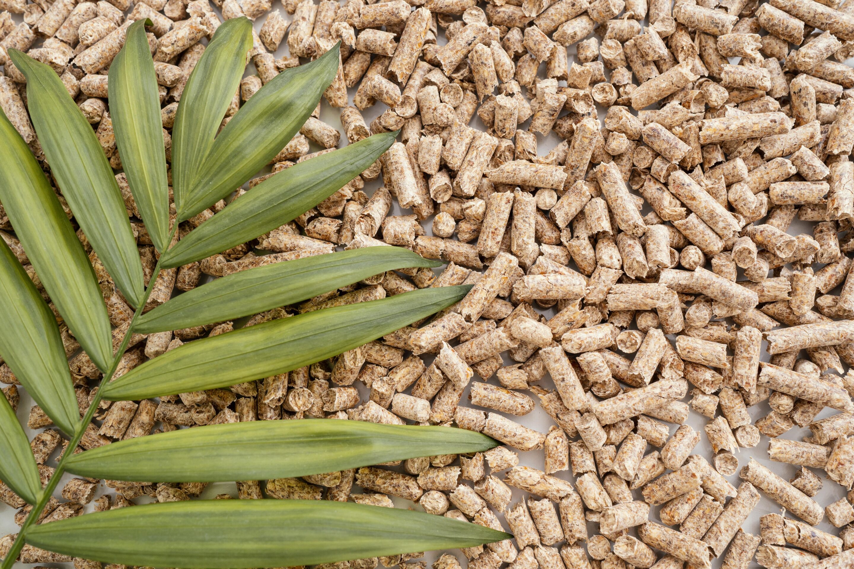 granule avec feuilles pour energie biomasse